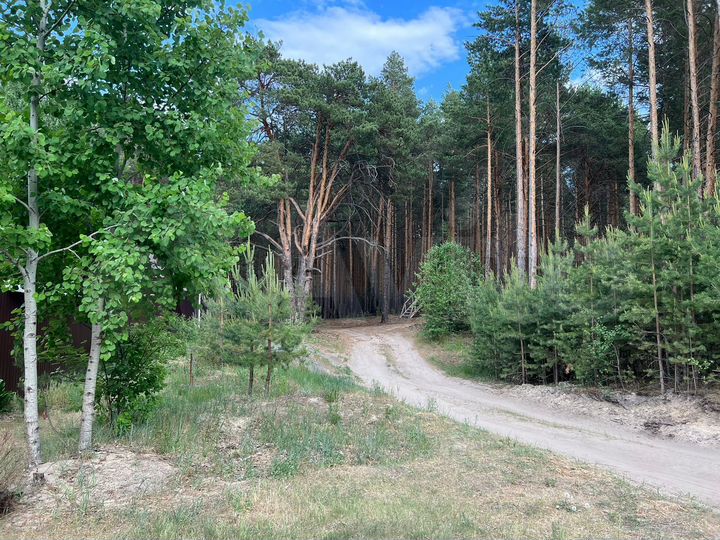 Участок 27 сот. (ИЖС)