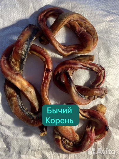 Сушеные лакомства для собак