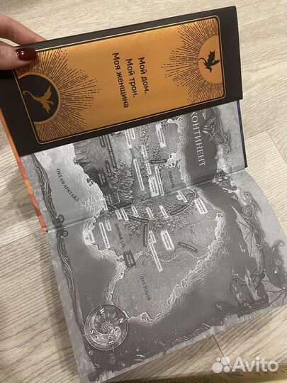 Четвертое крыло железное пламя