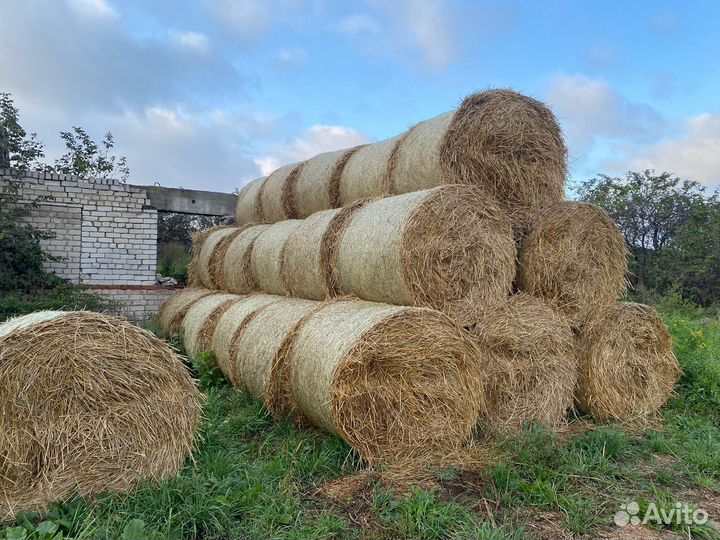 Солома в тюках