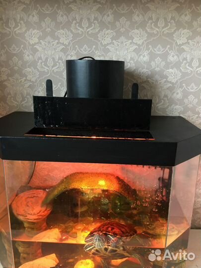 Аквариум 50л