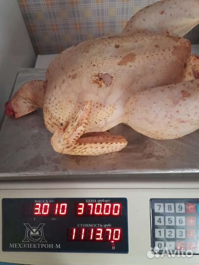 Мясо домашнего бролера