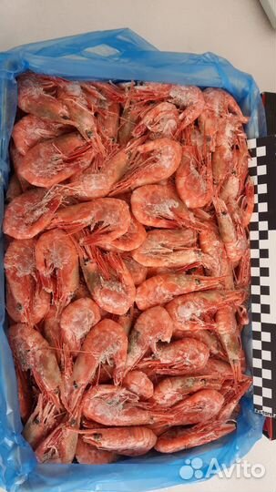 Икра и Креветки магаданские