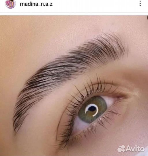 Мастер бровист