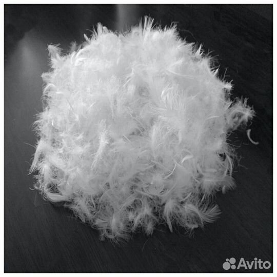 Пух перо гуся и утки