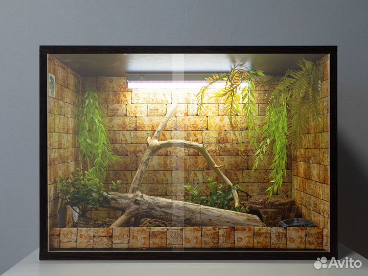 Террариум для эублефара/агамы новый