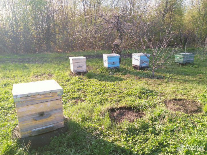 Улей для пчёл бу