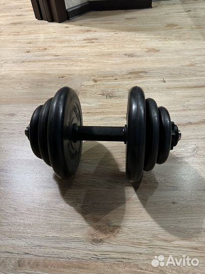 Гантеля 20 кг
