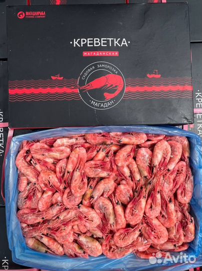 Магаданская креветка 70/90