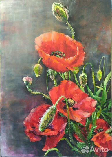 Картина, цветы. Красные маки, масло
