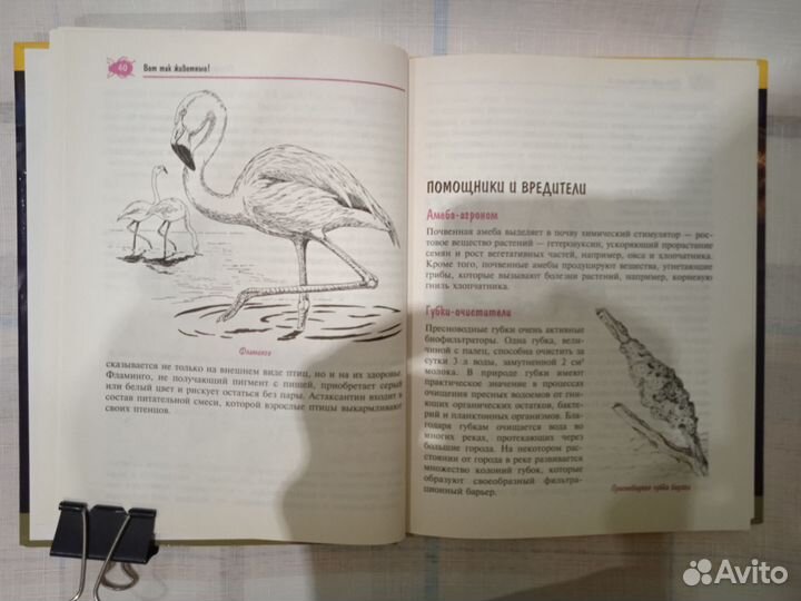 Книга. 1000 тайн животного мира