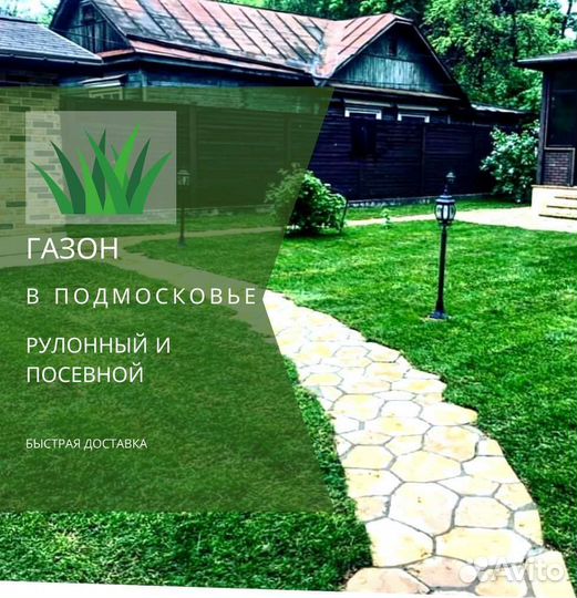 Рулонный газон, посевной газон