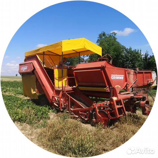 Комбайн Grimme SE 75-20, 1992