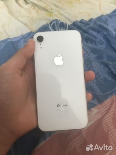 iPhone xr