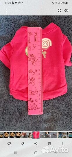 Вещи для маленьких собак