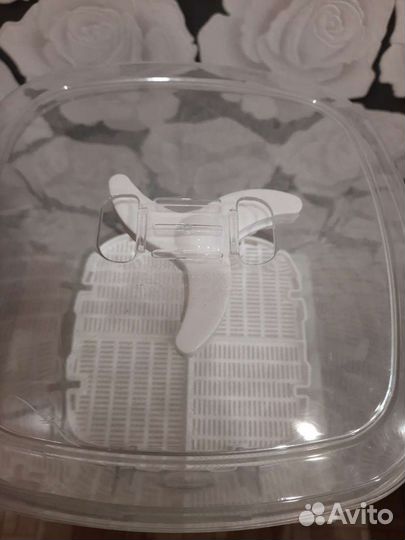 Проращиватель семян