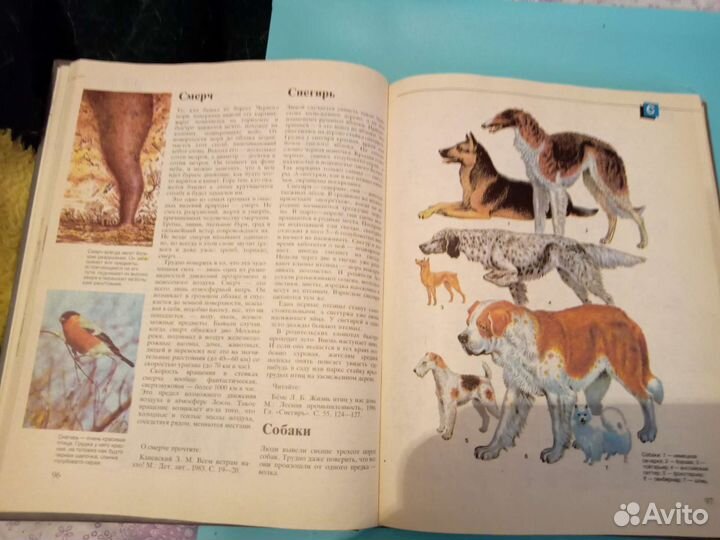 Детская энциклопедия, 