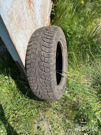 Pirelli Winter Carving Edge 195/65 R15 91T