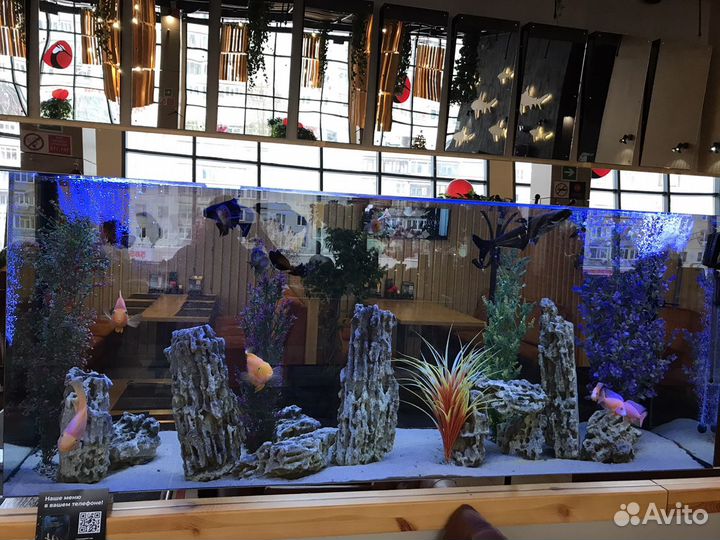 Обслуживание аквариумов