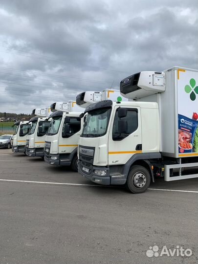 Водитель категории С (атп Новосибирск)