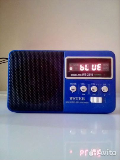 Wster WS-2319 USB, FM