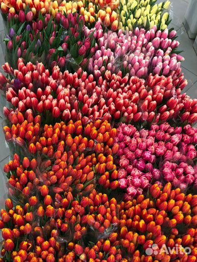 Букет тюльпанов на 8 марта