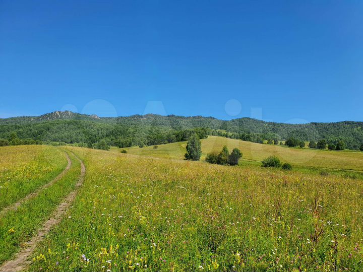 Участок 29,26 га (СНТ, ДНП)