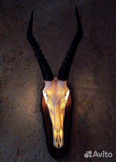 Череп резной блэсбок