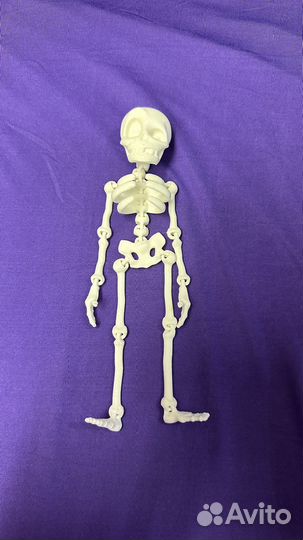 Скелет подвижный пластиковый