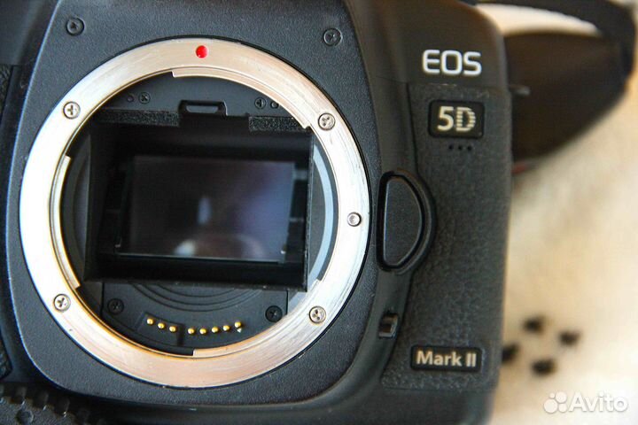 Canon EOS 5D Mark II Body