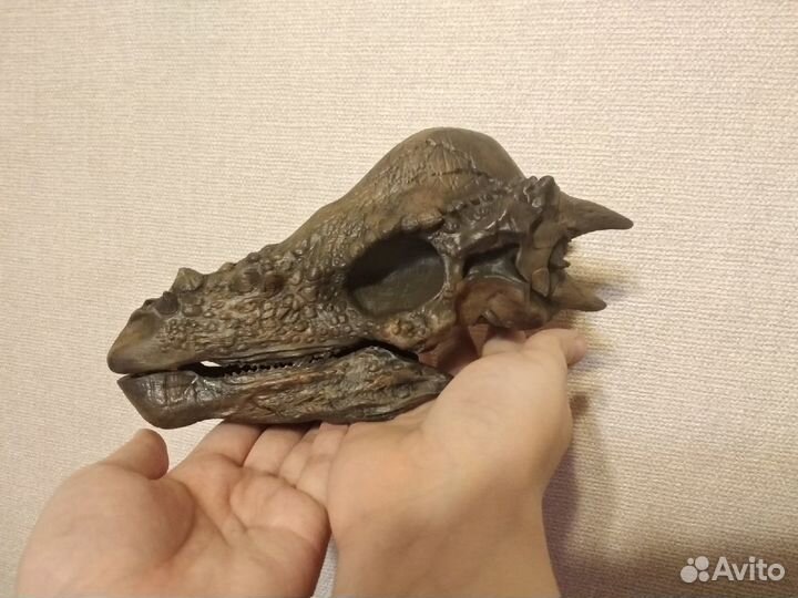 Черепа динозавров