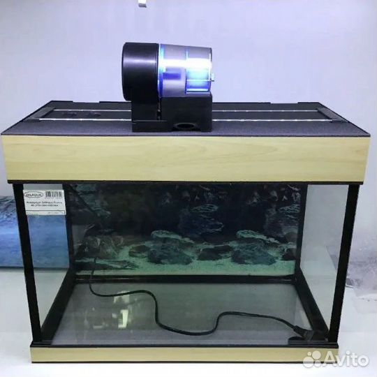 Автоматическая кормушка для рыб