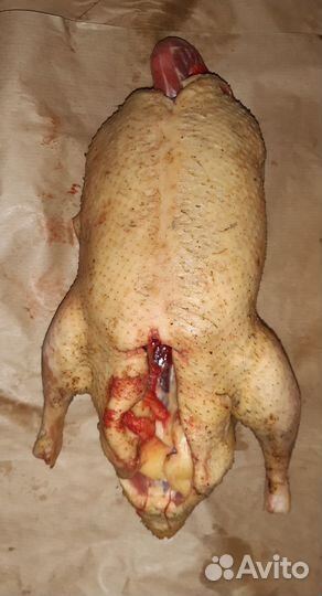 Индоутка тушка