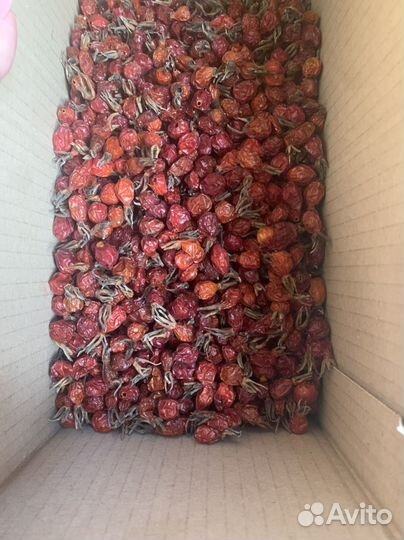 Сушенный шиповник