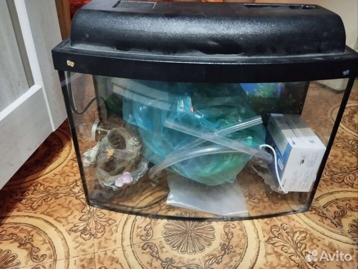 Аквариум