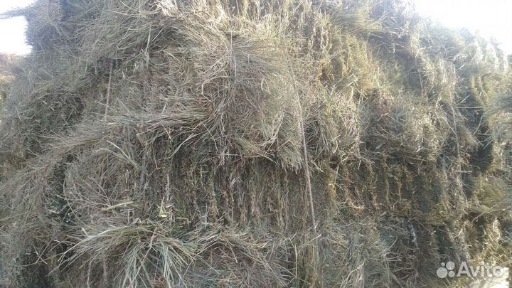 Сено луговое