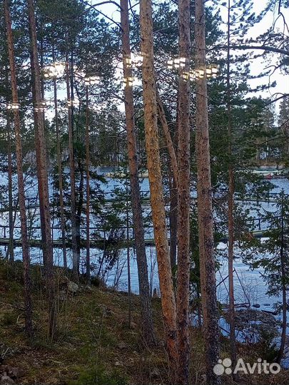 Сдам в аренду лодку