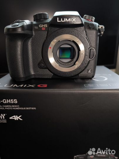 Panasonic Lumix GH5 S