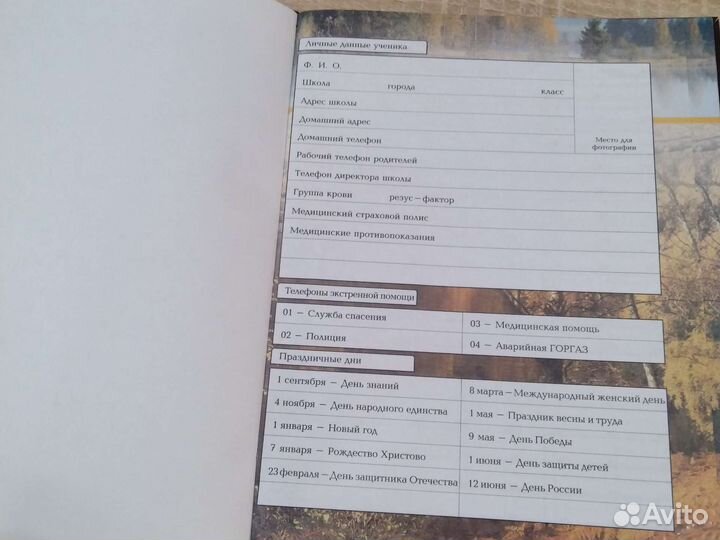 Дневник школьный