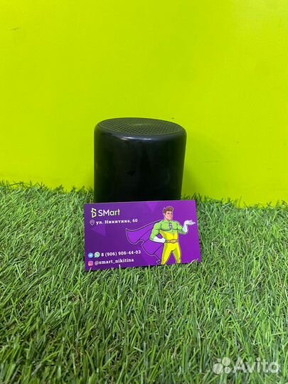 Колонка InterStep SBS-220