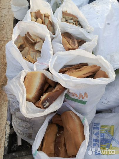 Хлеб на корм животным