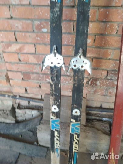 Беговые лыжи