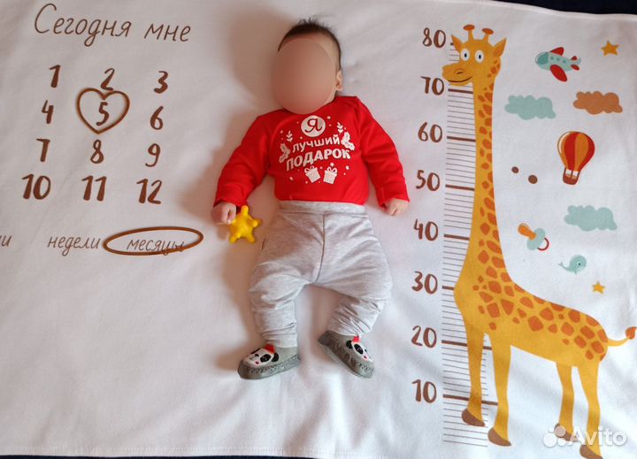 Фотоплед по месяцам