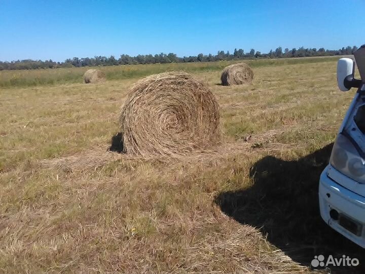 Сено 2024года заготовки возможна доставка