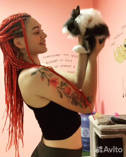 Отель для животных