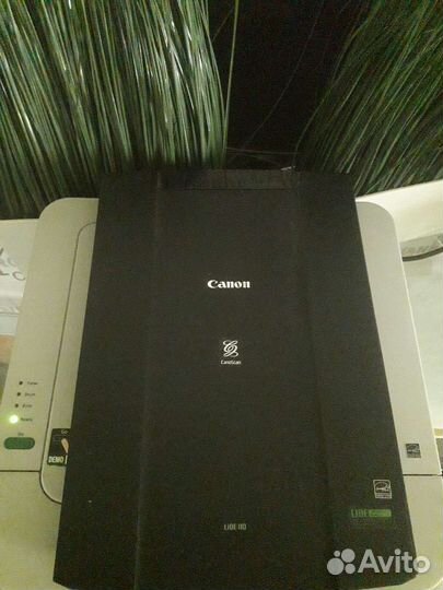 Принтер Brother + Сканер Canon