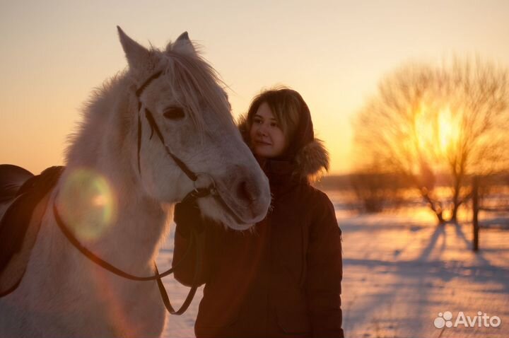 Конные прогулки, обучение верховой езде, походы