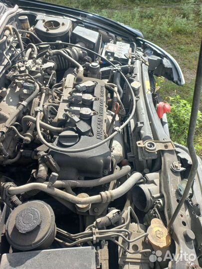 Nissan Primera, 2000