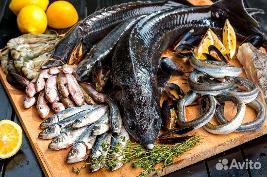 Рыба свежая