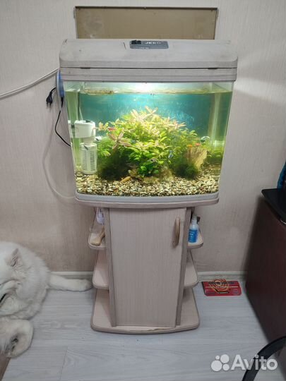 Аквариум с тумбой jebo